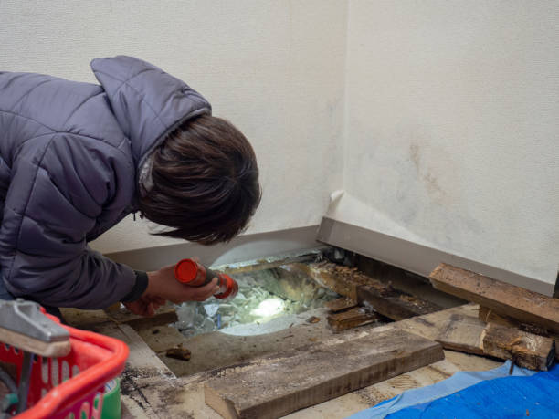 Best Biohazard Mold Removal  in Altus, OK