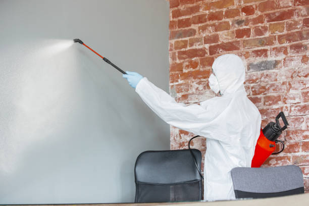 Best Mold Removal for HVAC Installations  in Altus, OK