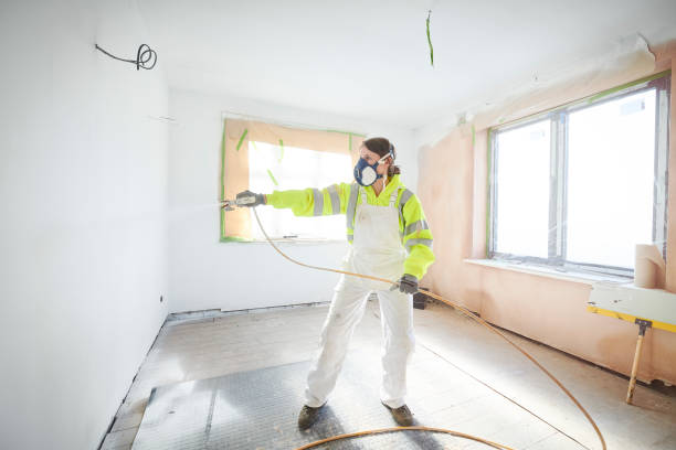 Best Basement Mold Removal  in Altus, OK