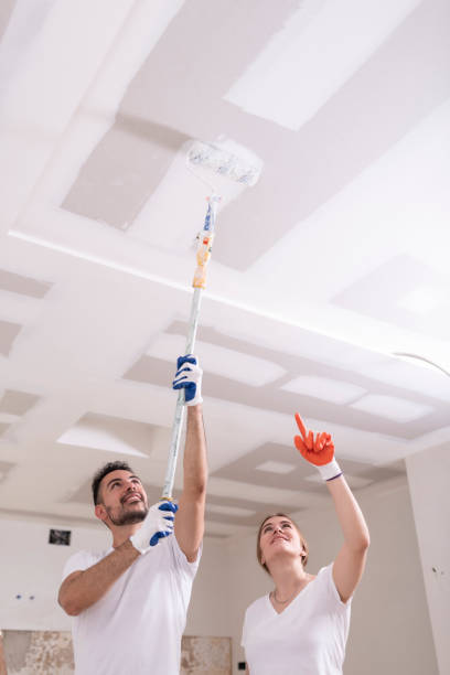 Best Mold Prevention Services  in Altus, OK