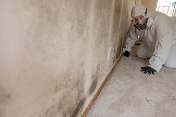 Best Mold Odor Removal Services  in Altus, OK