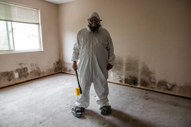 Best Asbestos and Lead Testing During Mold Inspection  in Altus, OK
