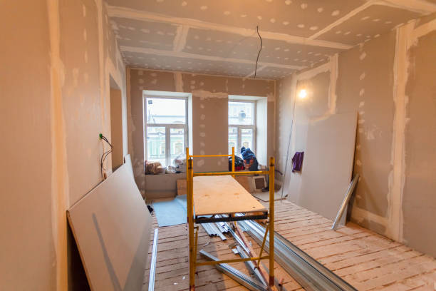 Best Emergency Mold Remediation  in Altus, OK