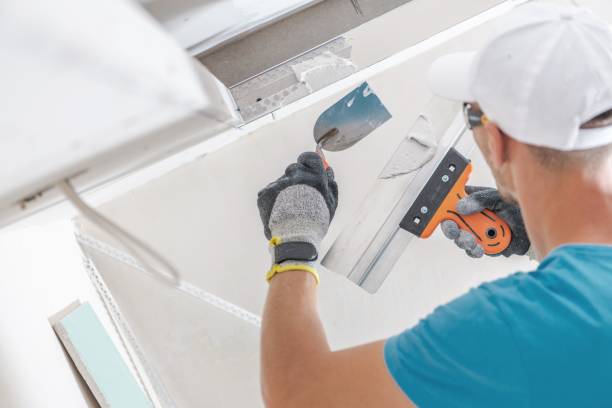 Professional Mold Removal in Altus, OK